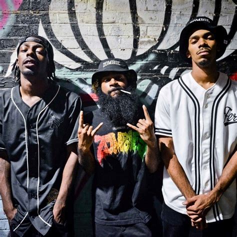 mraz flatbush zombies.